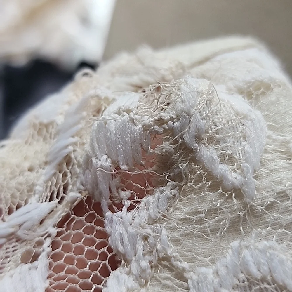 Hollister XS Delicate Lace Cream Long Sleeve Crop Top